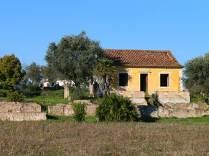 Abrantes Manor - SOLD