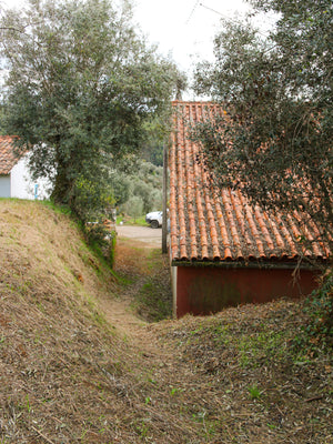 São Simão Pink House