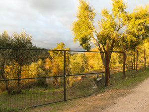 Amoreira Farm