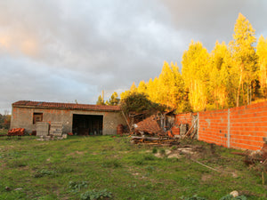 Amoreira Farm