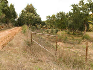 Amoreira Farm