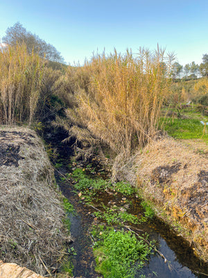 Sentieiras Roman Bridge House - SOLD