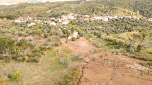 São Simão Pink House